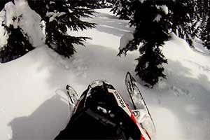 TreeBanger Pro AXYS Turbo